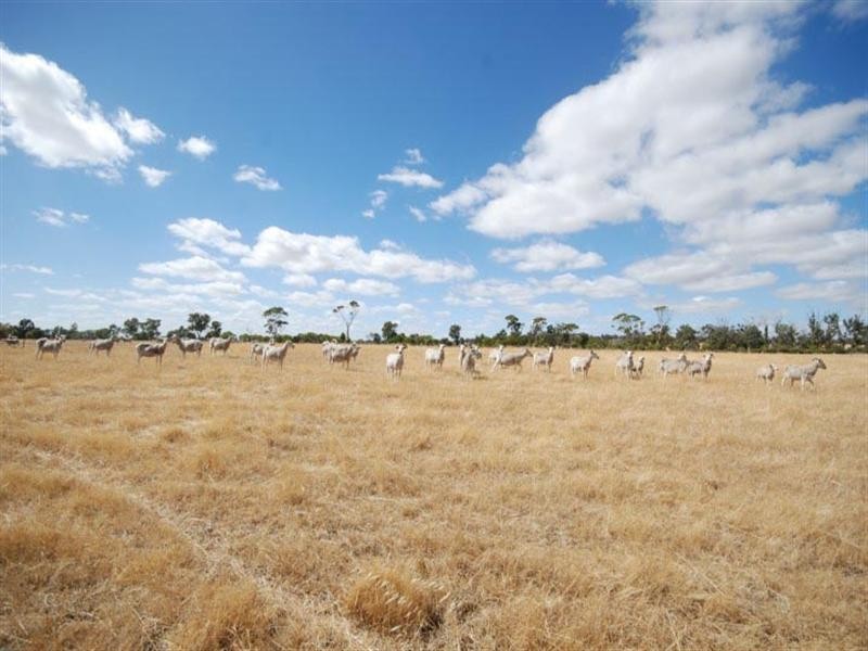 176 Contine Road, Dumberning WA 6312