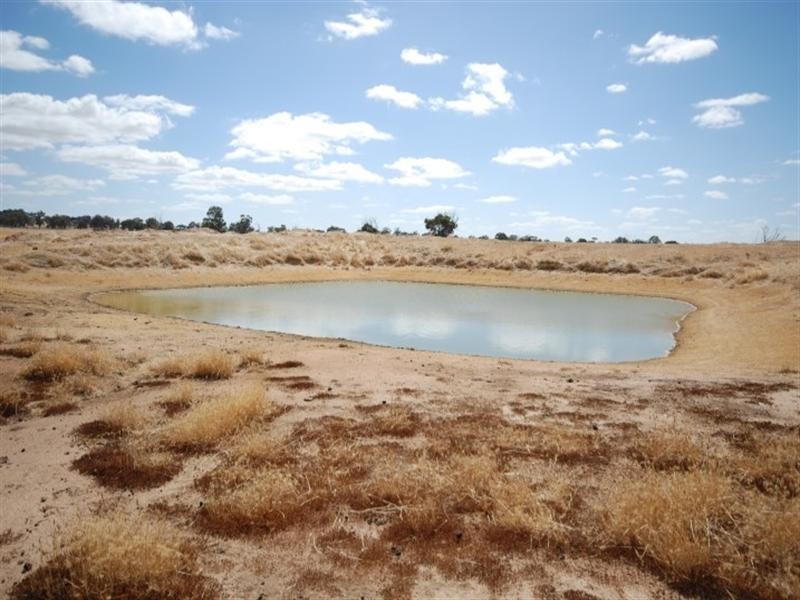 176 Contine Road, Dumberning WA 6312