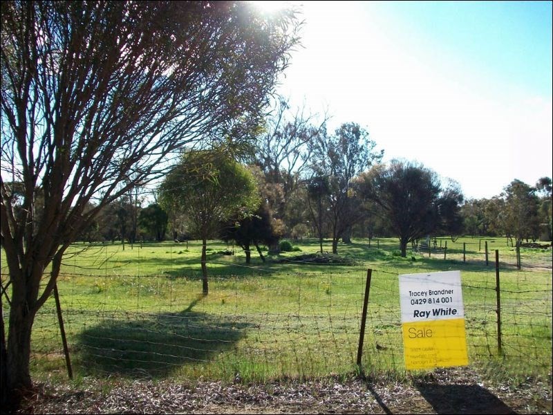 43 Richmond Street, Williams WA 6391