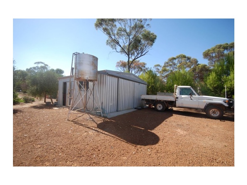 42 Lavender Street, Williams WA 6391