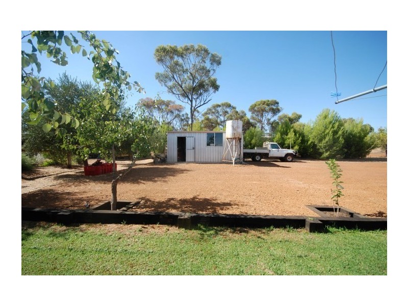 42 Lavender Street, Williams WA 6391