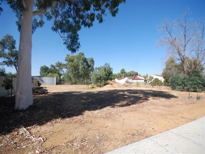 Lot 90 and 91 Richardson Street, Williams WA 6391