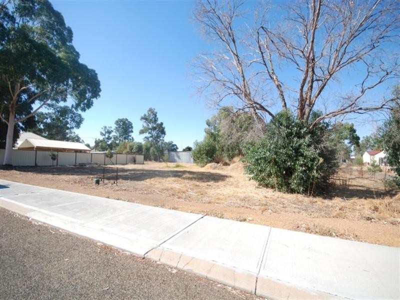 Lot 90 and 91 Richardson Street, Williams WA 6391