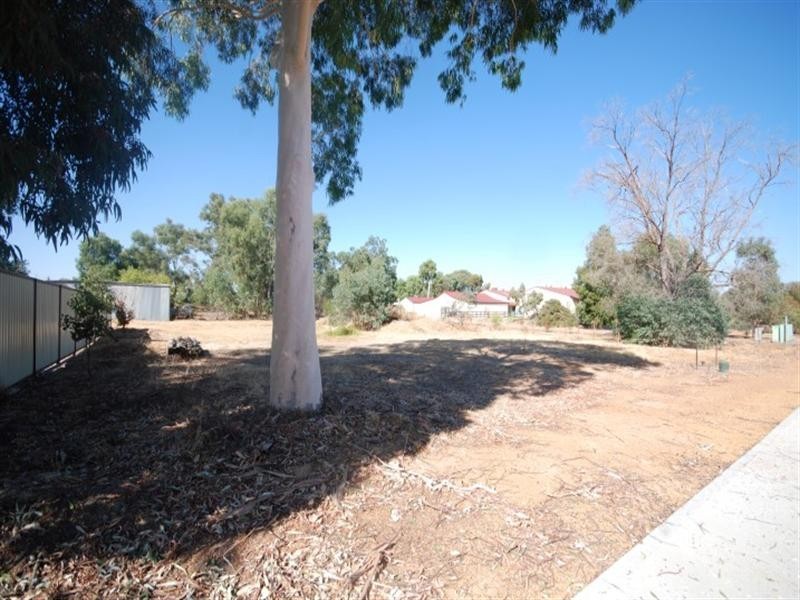 Lot 90 and 91 Richardson Street, Williams WA 6391