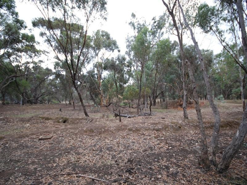 Lot 320 Walker Street, Narrogin WA 6312