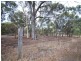 Lot 320 Walker Street, Narrogin WA 6312