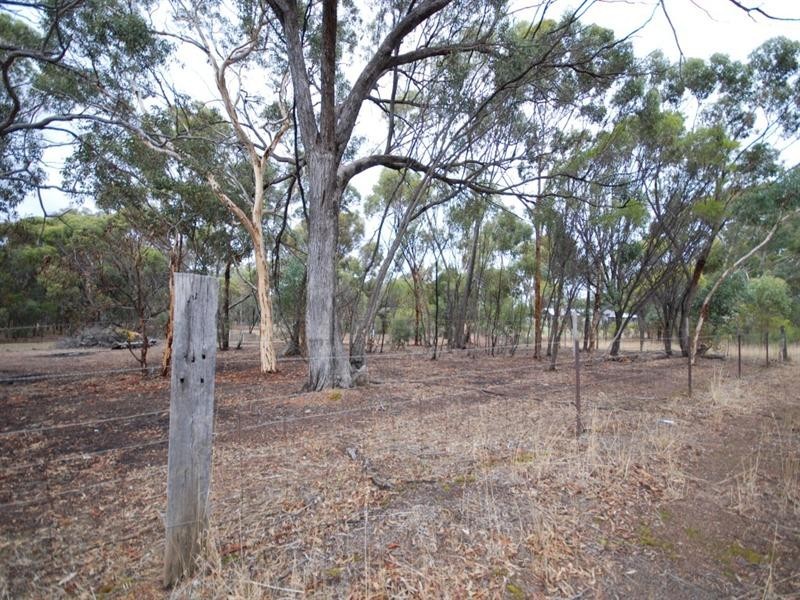 Lot 320 Walker Street, Narrogin WA 6312