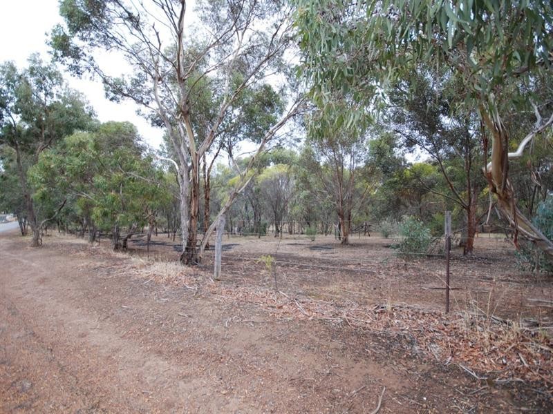 Lot 320 Walker Street, Narrogin WA 6312