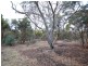 Lot 320 Walker Street, Narrogin WA 6312