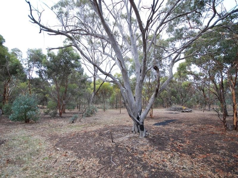 Lot 320 Walker Street, Narrogin WA 6312