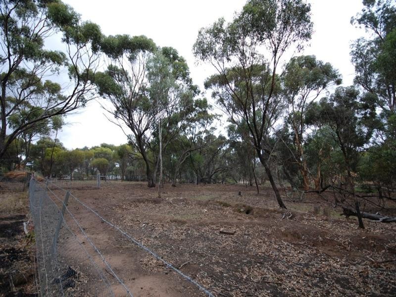 Lot 320 Walker Street, Narrogin WA 6312