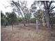 Lot 320 Walker Street, Narrogin WA 6312