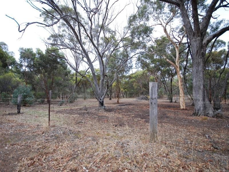 Lot 320 Walker Street, Narrogin WA 6312