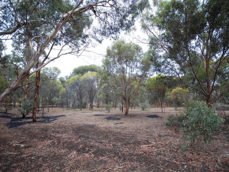 Lot 320 Walker Street, Narrogin WA 6312