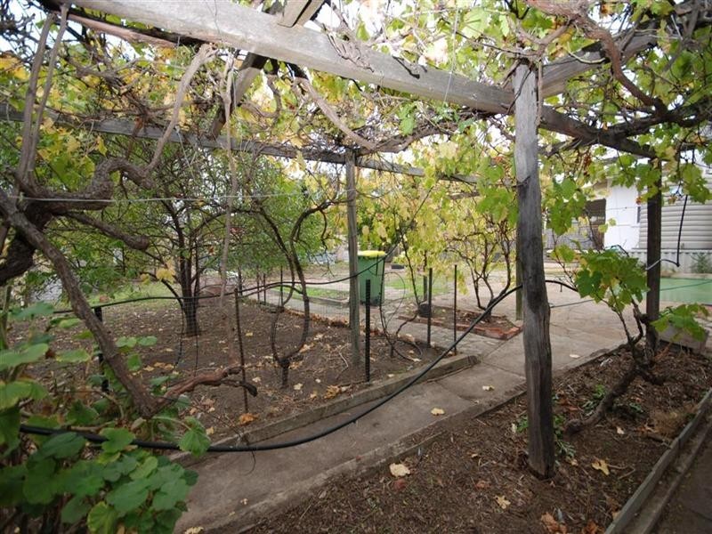 5 Unicorn Street, Wagin WA 6315