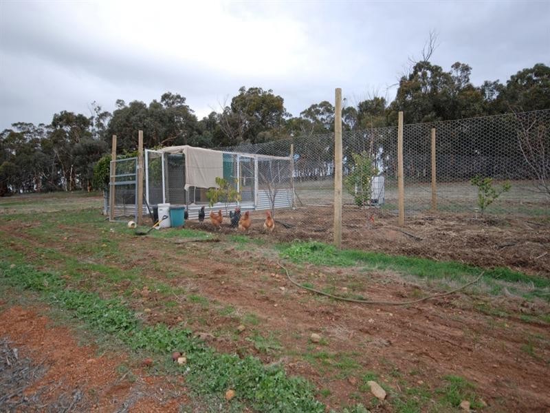 Lot 81 Moramockining Road, Wandering WA 6308