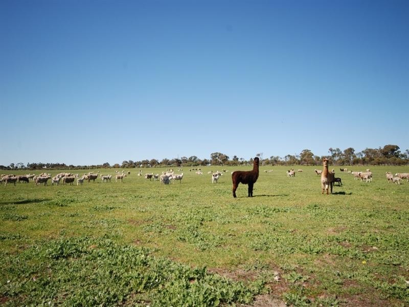 10 Yilliminning Road, Narrogin WA 6312
