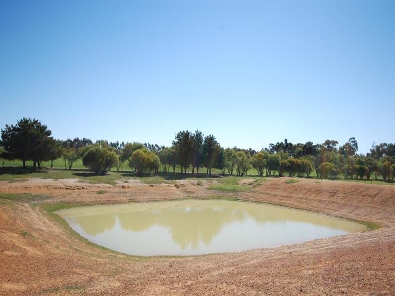 10 Yilliminning Road, Narrogin WA 6312