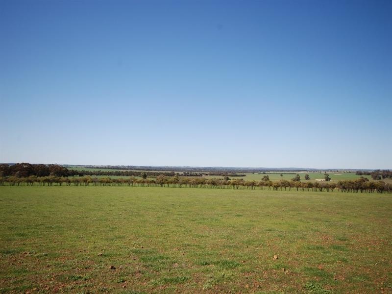 10 Yilliminning Road, Narrogin WA 6312