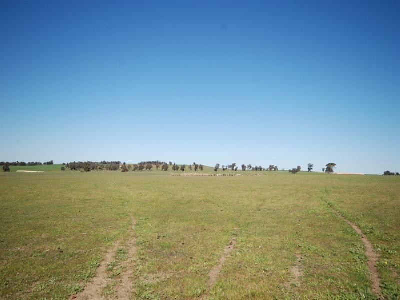 10 Yilliminning Road, Narrogin WA 6312