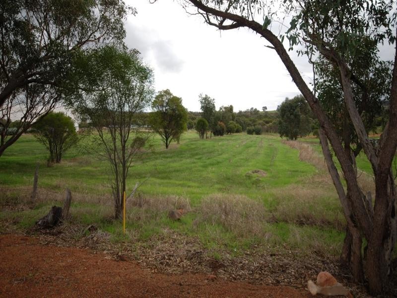 48 Lavender Street, Williams WA 6391
