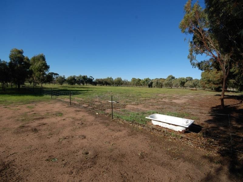 Lot 809 Beaufort Street, Wagin WA 6315