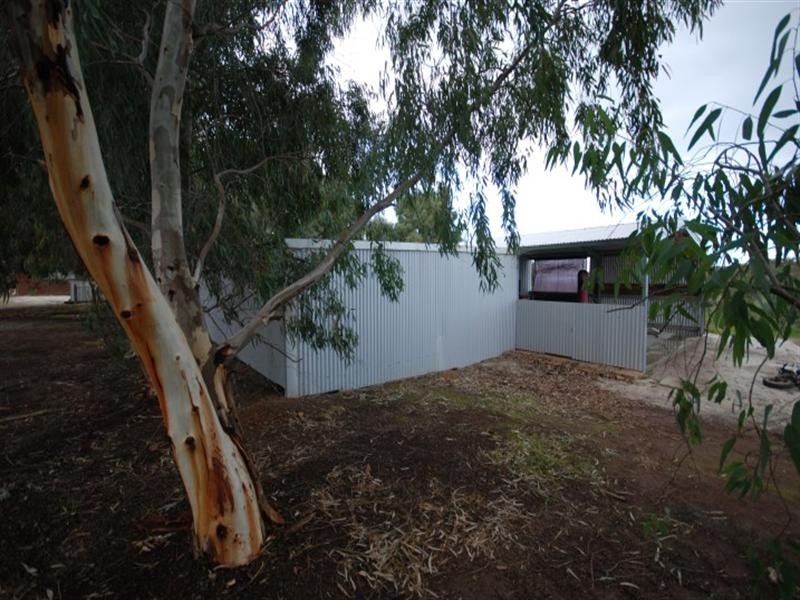 287 Graham Road, Narrogin WA 6312