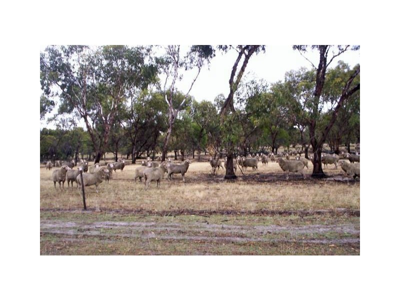 Lot 30 Wickepin Road, Wickepin WA 6370