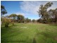 20 Unicorn Street, Wagin WA 6315