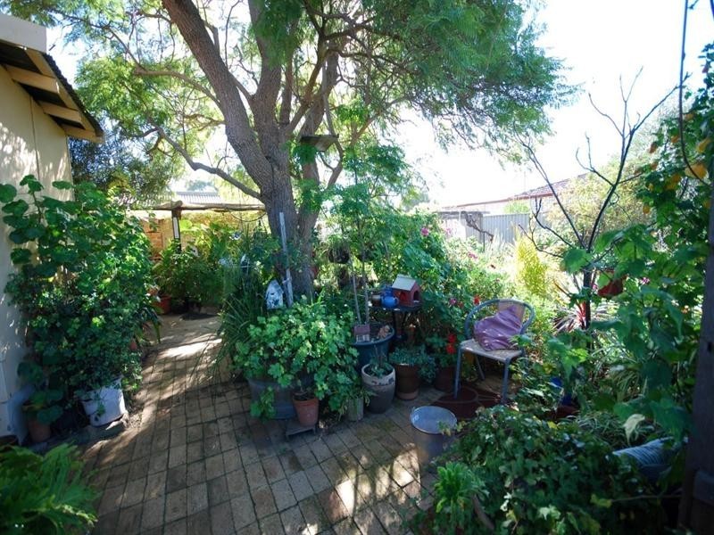 46 Ventnor Street, Wagin WA 6315