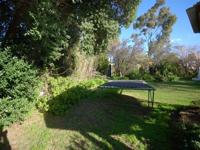 21 Furnival Street, Narrogin WA 6312