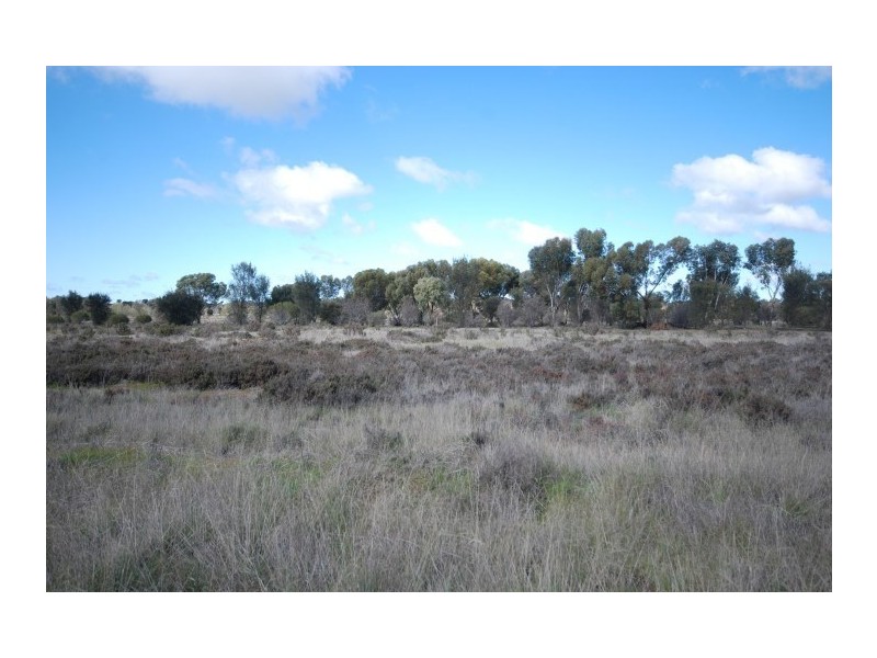 104 Alexandra Street, Popanyinning WA 6309