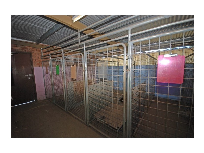 200 Earl Street, Narrogin WA 6312