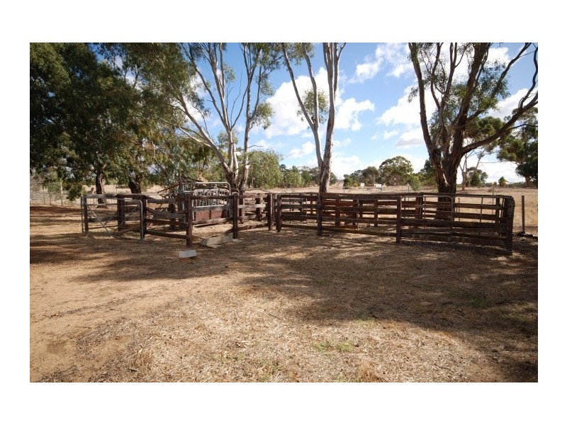 200 Earl Street, Narrogin WA 6312