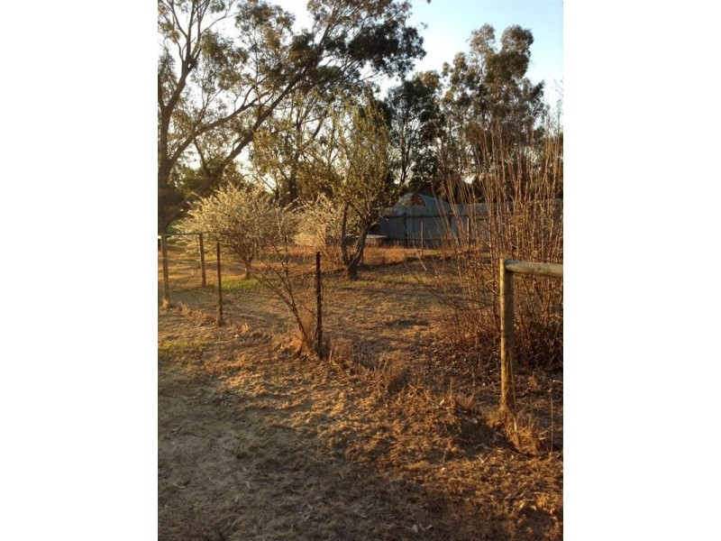 29 Richmond Street, Williams WA 6391