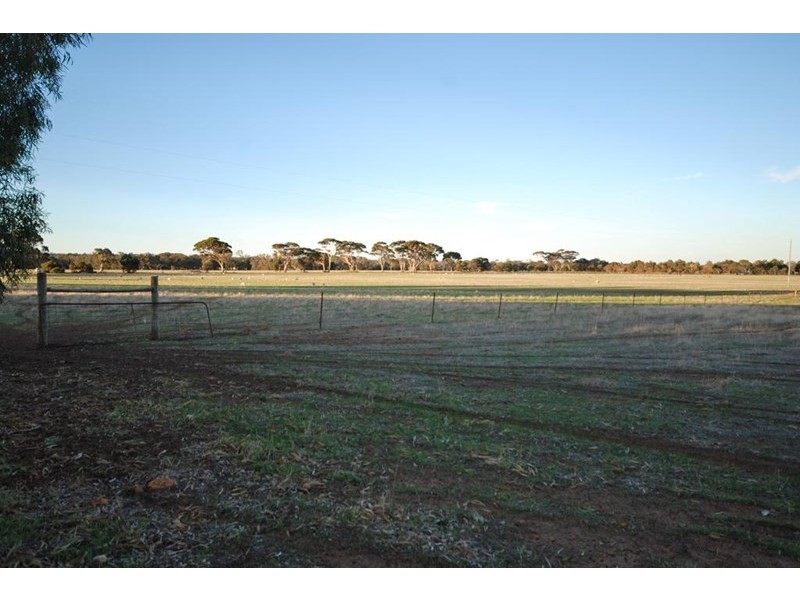 470 Narrogin Valley Road, Narrogin WA 6312