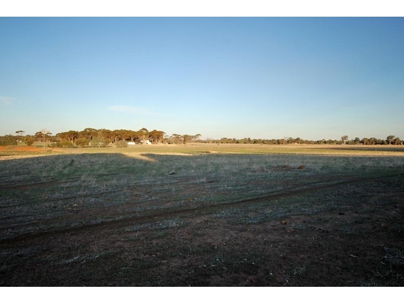 470 Narrogin Valley Road, Narrogin WA 6312