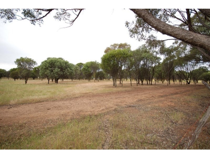 79 Cuballing East Road, Cuballing WA 6311