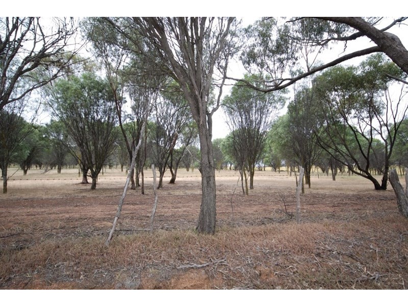 79 Cuballing East Road, Cuballing WA 6311