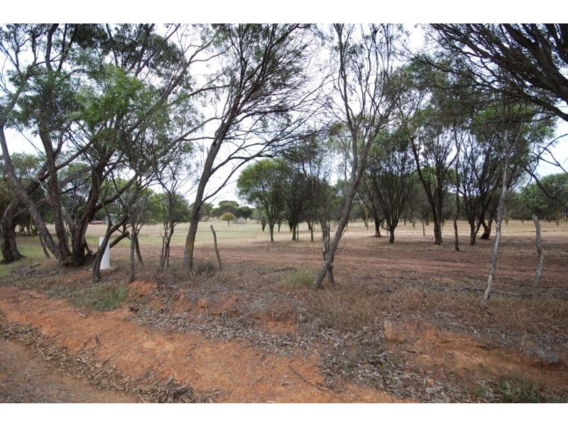 79 Cuballing East Road, Cuballing WA 6311