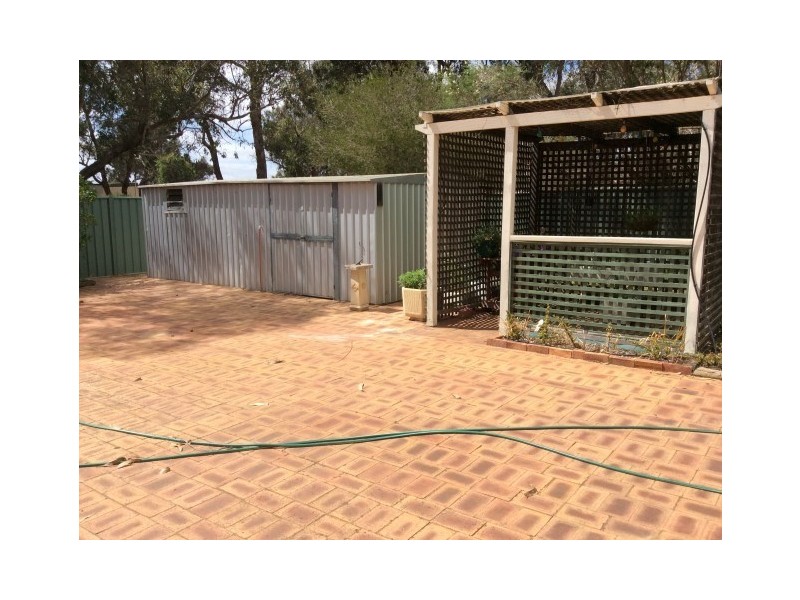 14 Williams Street, Williams WA 6391