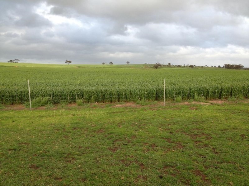 69 Browns Road, Narrogin WA 6312