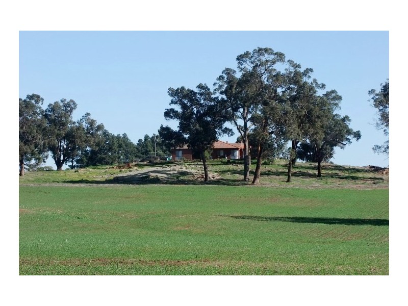 117 Bradford exchange Road, Narrogin WA 6312