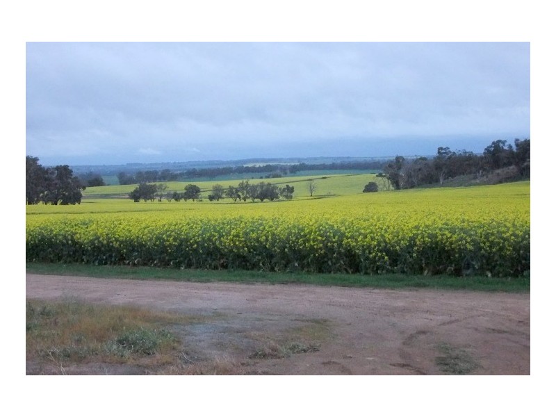 117 Bradford exchange Road, Narrogin WA 6312