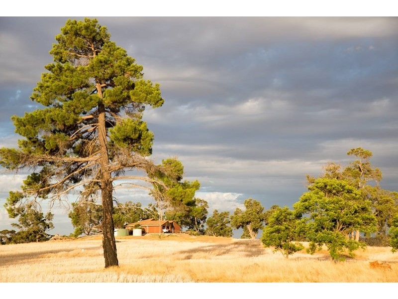 117 Bradford exchange Road, Narrogin WA 6312