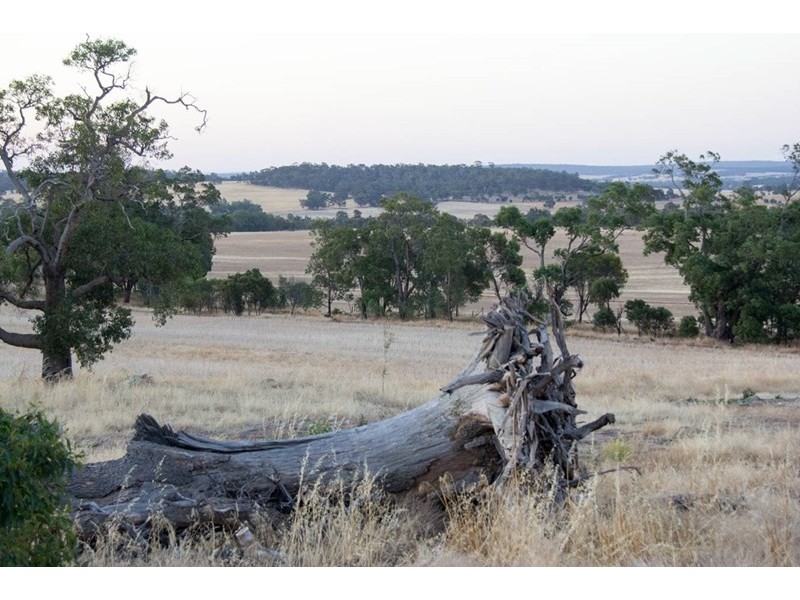 117 Bradford exchange Road, Narrogin WA 6312