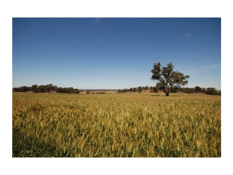 117 Bradford exchange Road, Narrogin WA 6312