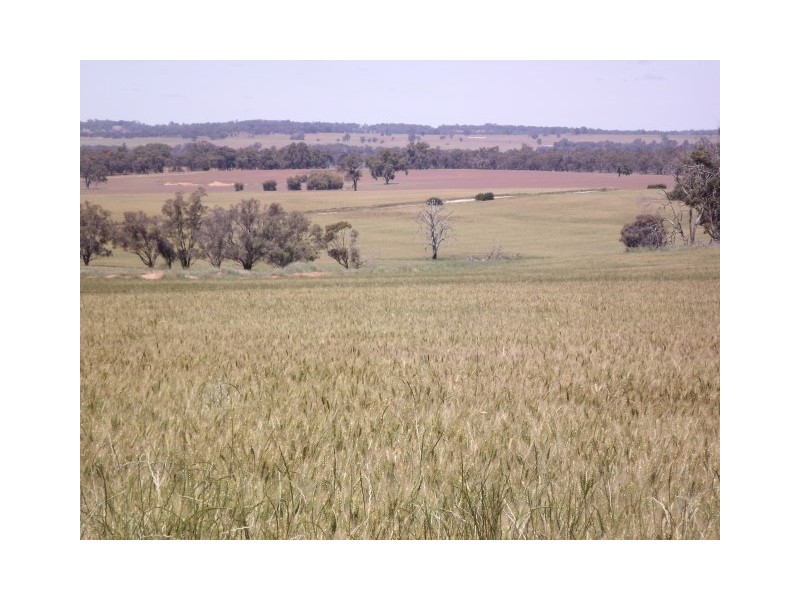 117 Bradford exchange Road, Narrogin WA 6312