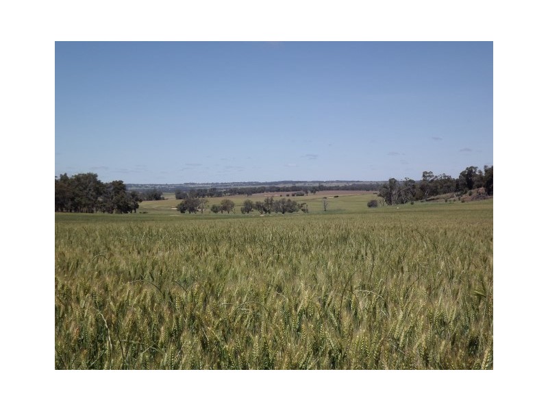 117 Bradford exchange Road, Narrogin WA 6312