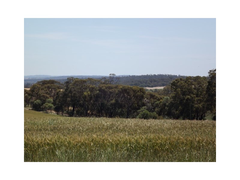 117 Bradford exchange Road, Narrogin WA 6312